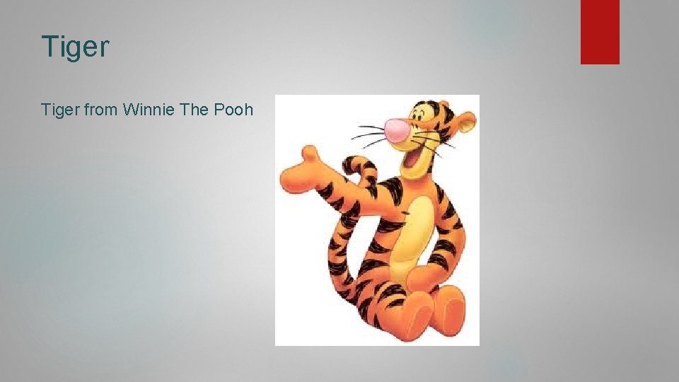 Tiger from Winnie The Pooh 