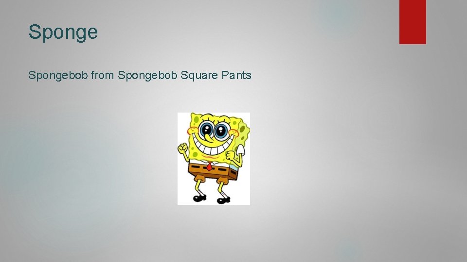 Spongebob from Spongebob Square Pants 