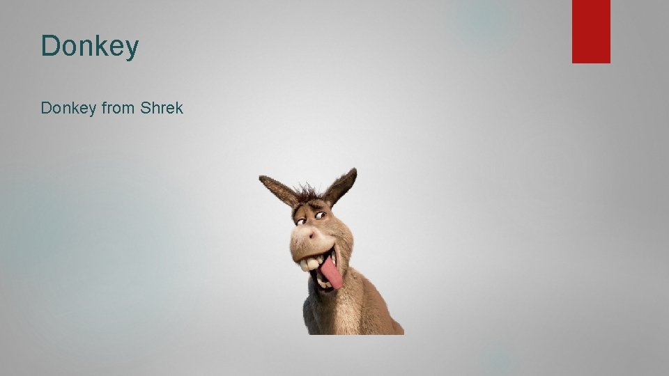 Donkey from Shrek 