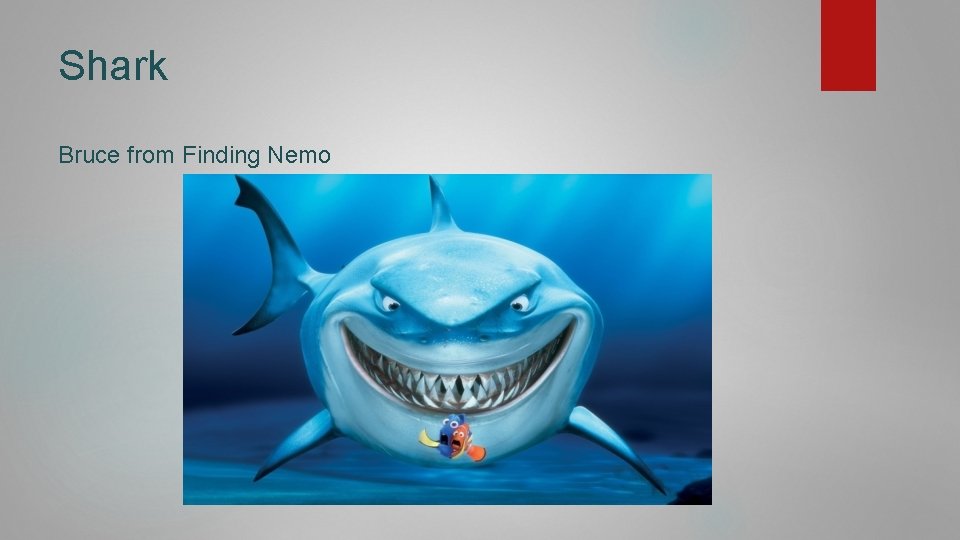 Shark Bruce from Finding Nemo 