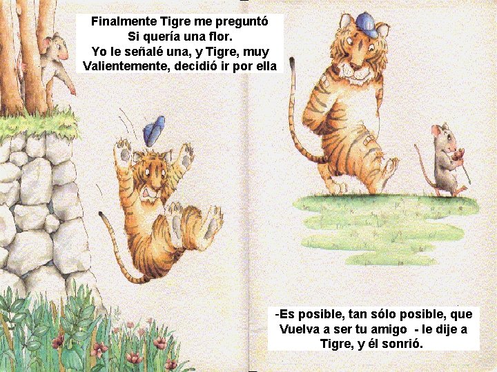 Finalmente Tigre me preguntó Si quería una flor. Yo le señalé una, y Tigre,