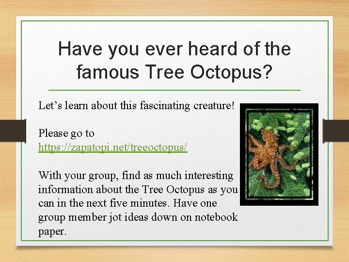 Have you ever heard of the famous Tree Octopus? Let’s learn about this fascinating