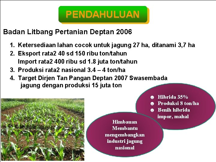 PENDAHULUAN Badan Litbang Pertanian Deptan 2006 1. Ketersediaan lahan cocok untuk jagung 27 ha,