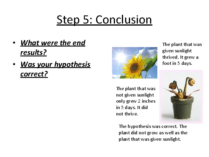 Step 5: Conclusion • What were the end results? • Was your hypothesis correct?