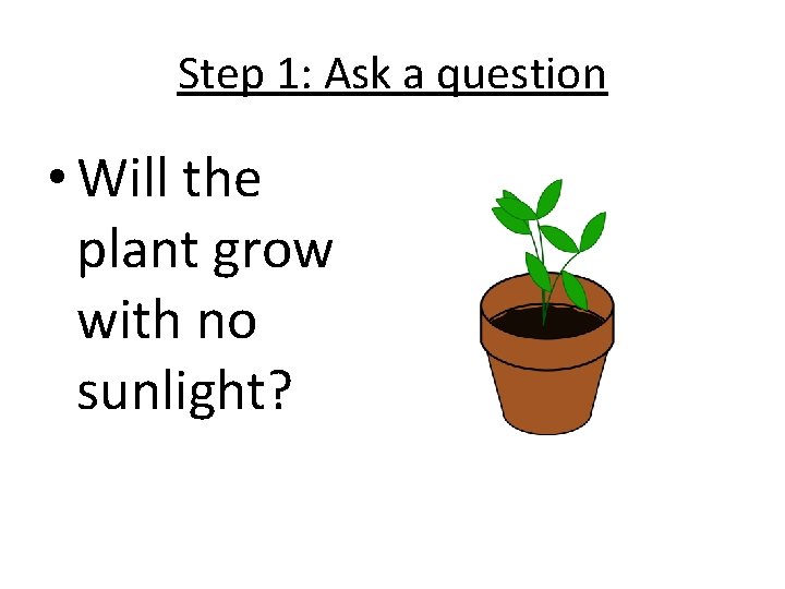 Step 1: Ask a question • Will the plant grow with no sunlight? 