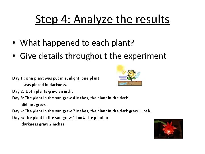 Step 4: Analyze the results • What happened to each plant? • Give details