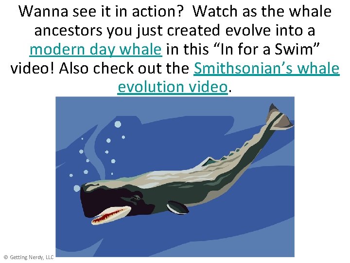 Wanna see it in action? Watch as the whale ancestors you just created evolve