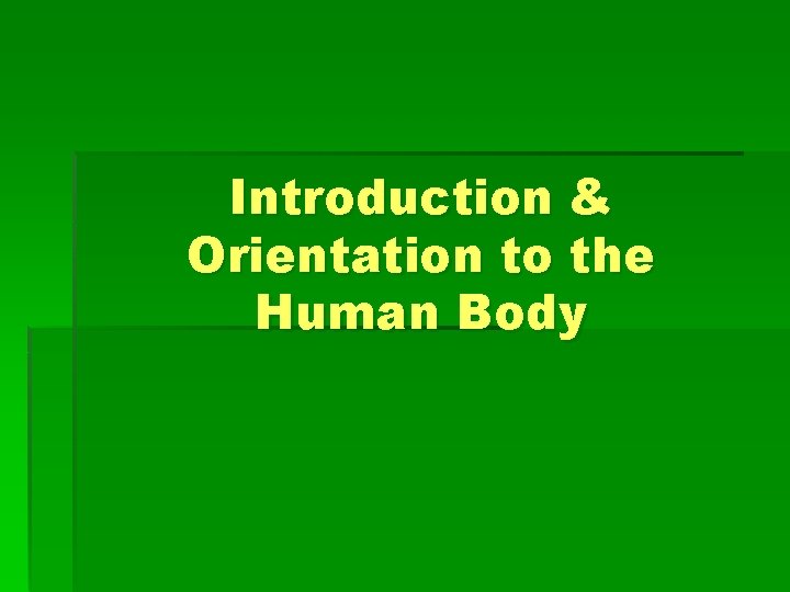 Introduction & Orientation to the Human Body 