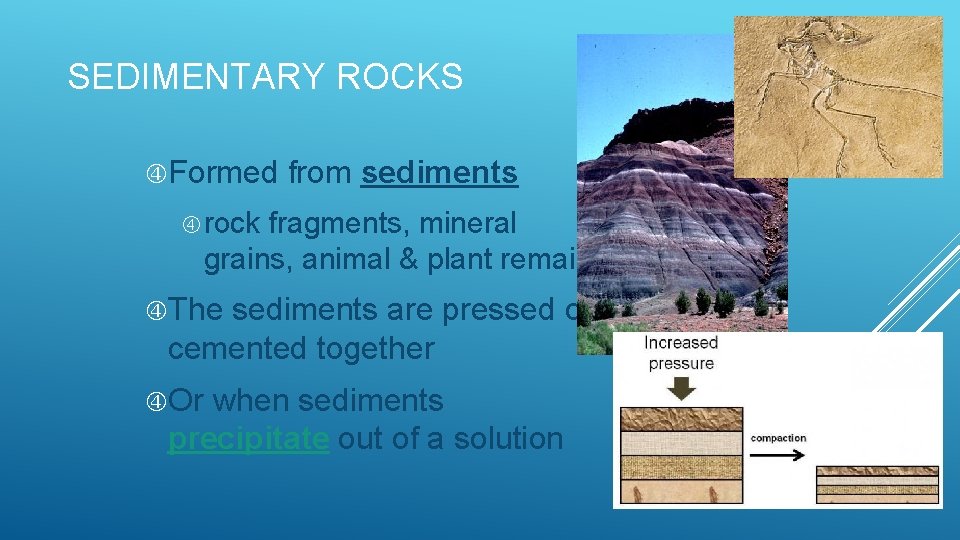 SEDIMENTARY ROCKS Formed from sediments rock fragments, mineral grains, animal & plant remains The