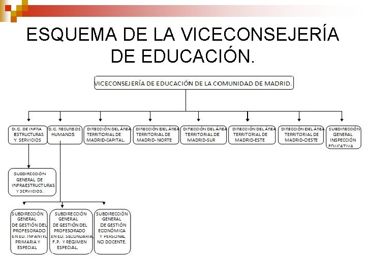 ESQUEMA DE LA VICECONSEJERÍA DE EDUCACIÓN. 