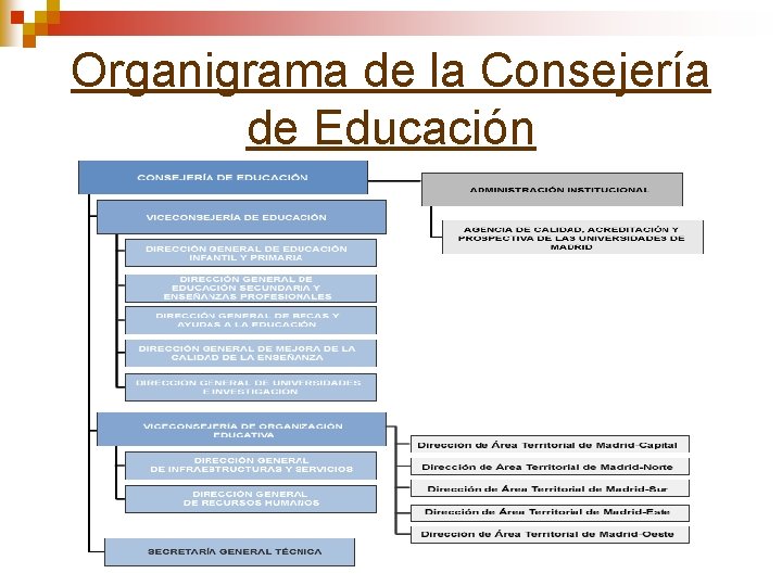 Organigrama de la Consejería de Educación 