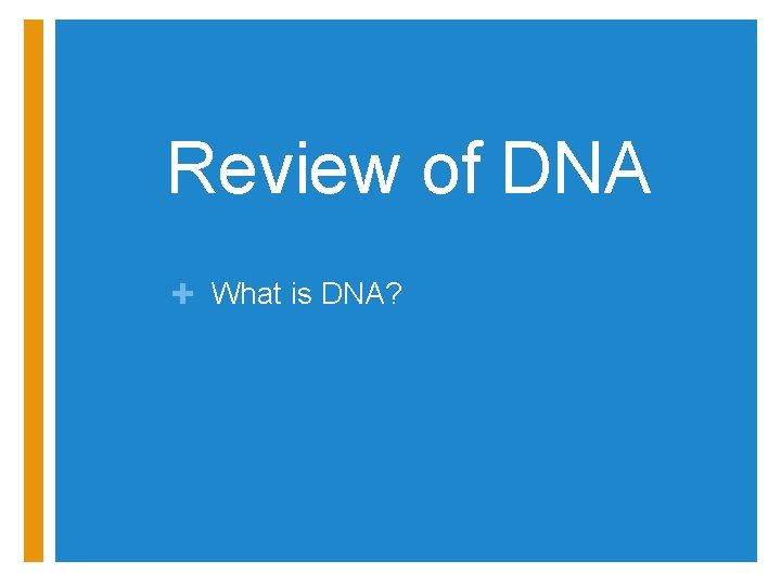 Review of DNA + What is DNA? 