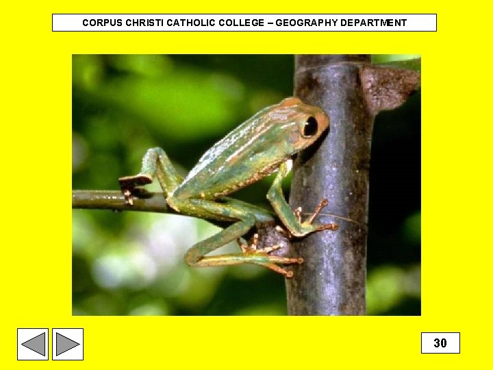 CORPUS CHRISTI CATHOLIC COLLEGE – GEOGRAPHY DEPARTMENT 30 