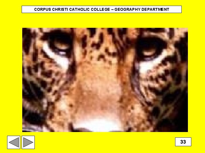 CORPUS CHRISTI CATHOLIC COLLEGE – GEOGRAPHY DEPARTMENT 33 