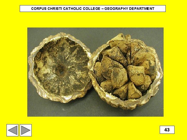 CORPUS CHRISTI CATHOLIC COLLEGE – GEOGRAPHY DEPARTMENT 43 