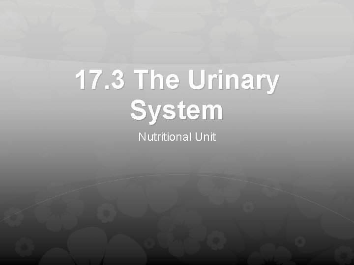 17. 3 The Urinary System Nutritional Unit 