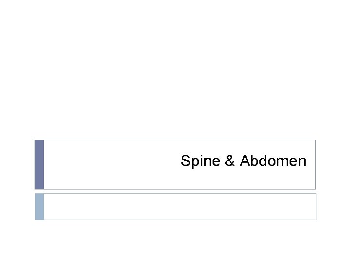 Spine & Abdomen 
