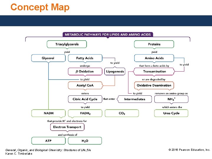 Concept Map General, Organic, and Biological Chemistry: Structures of Life, 5/e Karen C. Timberlake