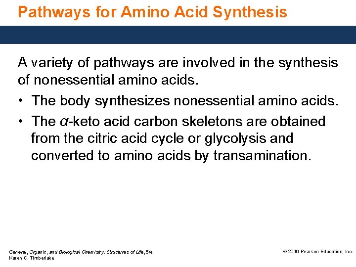 Pathways for Amino Acid Synthesis A variety of pathways are involved in the synthesis