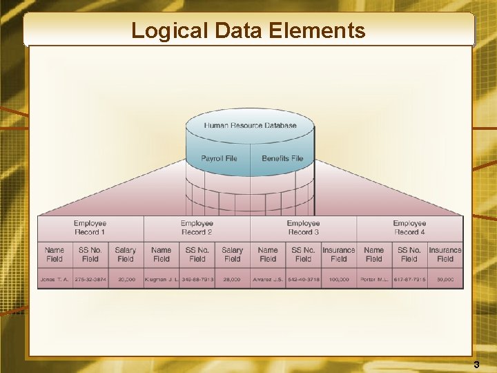 Logical Data Elements 3 