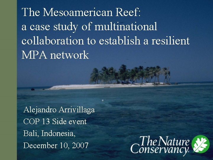 The Mesoamerican Reef: a case study of multinational collaboration to establish a resilient MPA