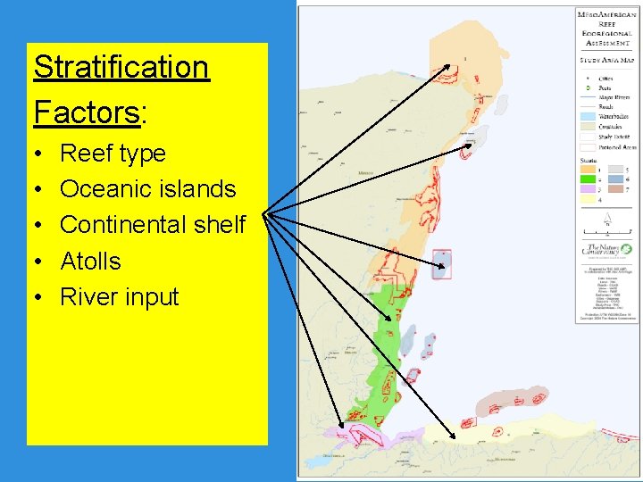 Stratification Factors: • • • Reef type Oceanic islands Continental shelf Atolls River input