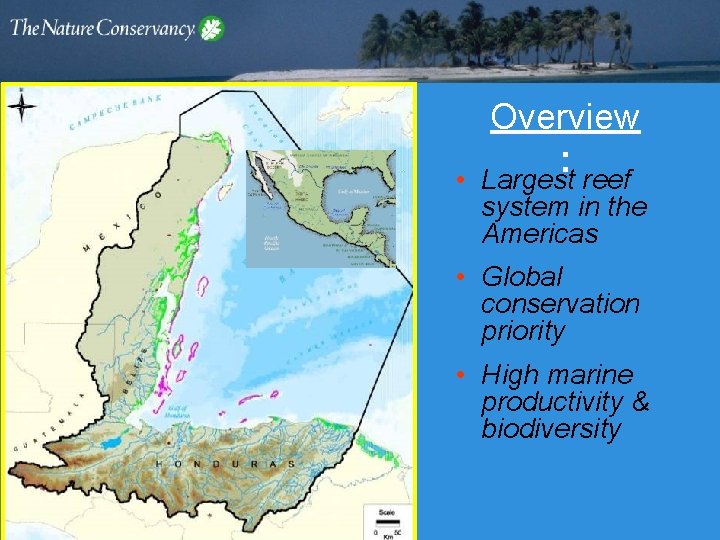  • Overview : Largest reef system in the Americas • Global conservation priority