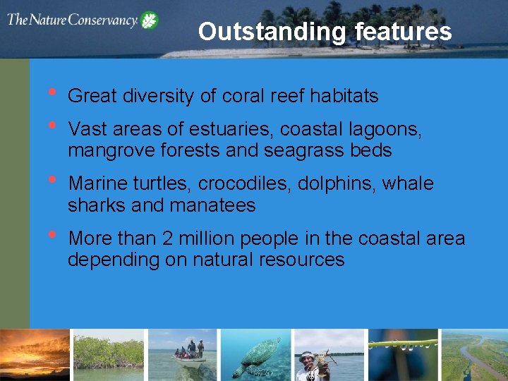 Outstanding features • • Great diversity of coral reef habitats • Marine turtles, crocodiles,
