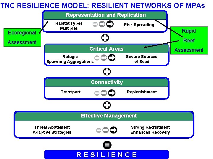 TNC RESILIENCE MODEL: RESILIENT NETWORKS OF MPAs Representation and Replication Ecoregional Habitat Types Multiples