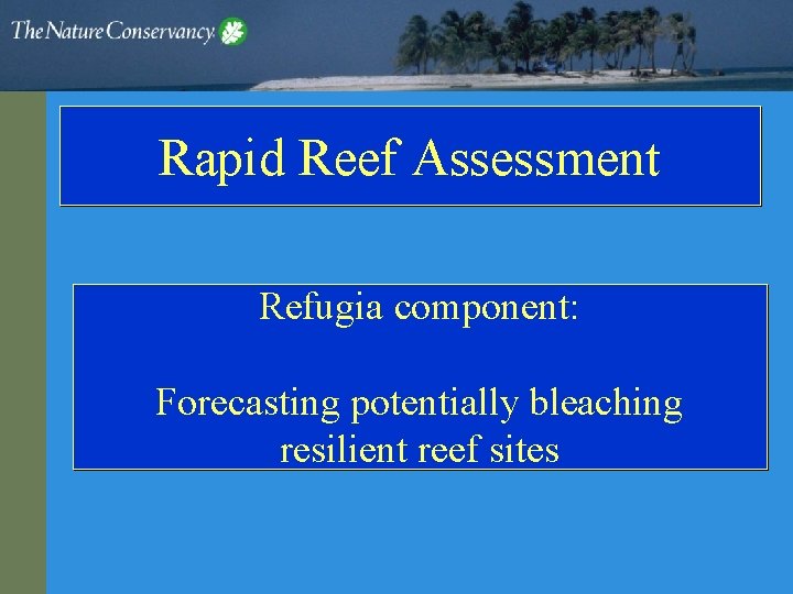 Rapid Reef Assessment Refugia component: Forecasting potentially bleaching resilient reef sites 