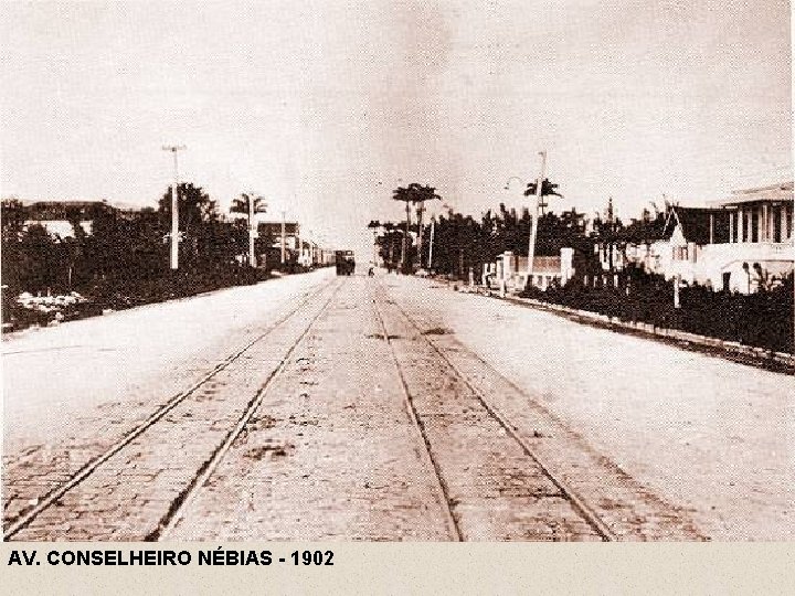 AV. CONSELHEIRO NÉBIAS - 1902 