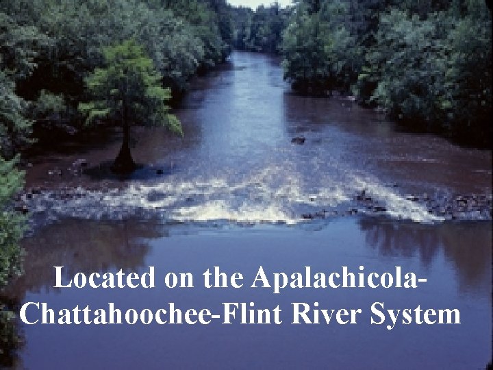 Located on the Apalachicola. Chattahoochee-Flint River System 