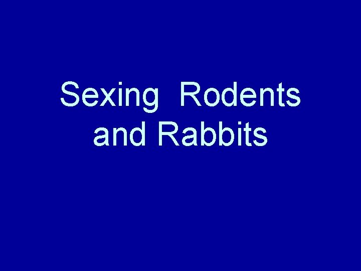 Sexing Rodents and Rabbits 