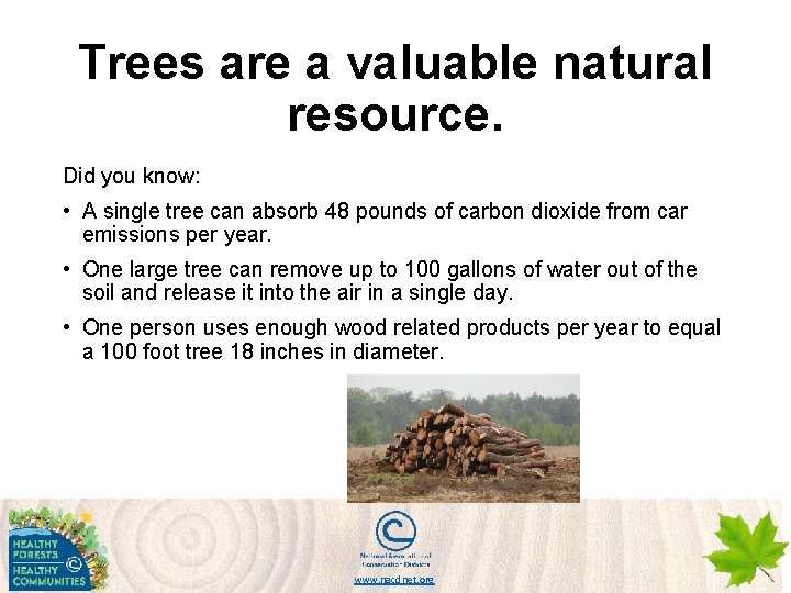 Trees are a valuable natural resource. Did you know: • A single tree can