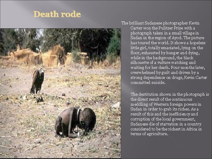 Death rode The brilliant Sudanese photographer Kevin Carter won the Pulitzer Prize with a