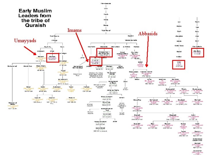 Imams Umayyads Abbasids 