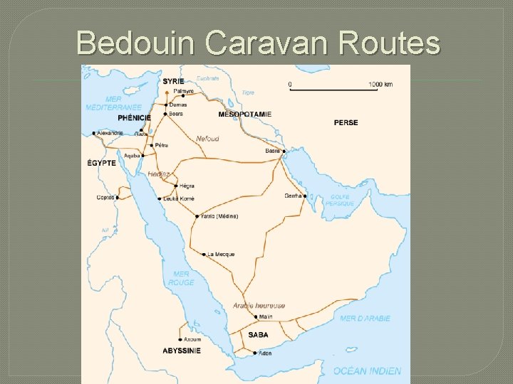 Bedouin Caravan Routes 