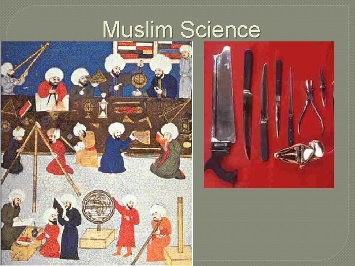 Muslim Science 