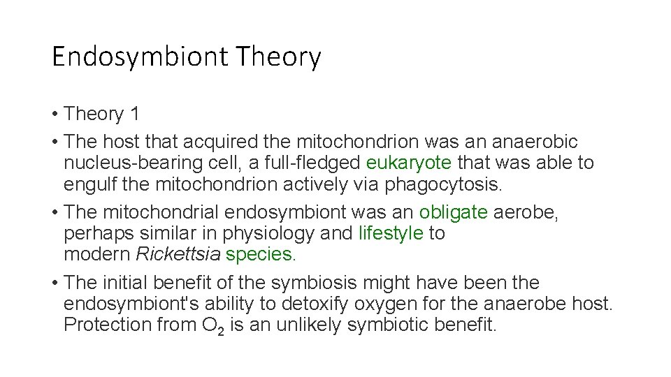 Endosymbiont Theory • Theory 1 • The host that acquired the mitochondrion was an