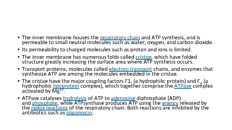  • The inner membrane houses the respiratory chain and ATP synthesis, and is