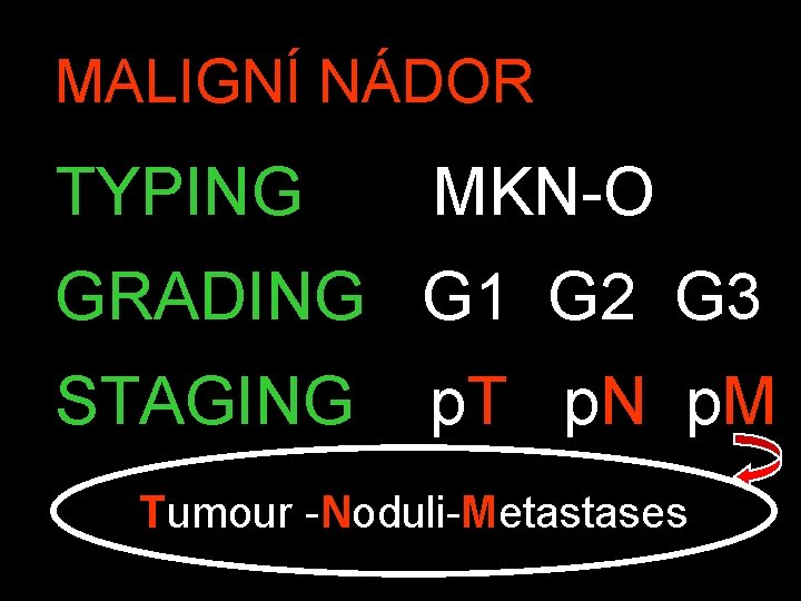 MALIGNÍ NÁDOR TYPING MKN-O GRADING G 1 G 2 G 3 STAGING p. T