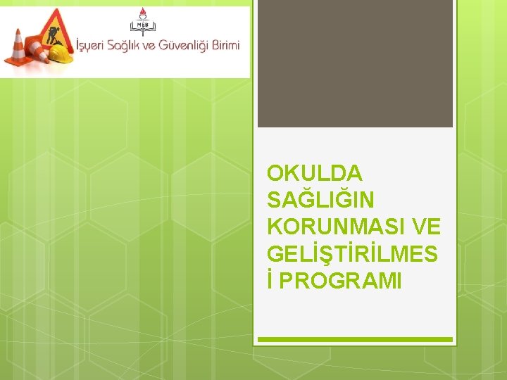 OKULDA SAĞLIĞIN KORUNMASI VE GELİŞTİRİLMES İ PROGRAMI 