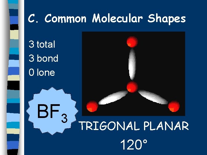 C. Common Molecular Shapes 3 total 3 bond 0 lone BF 3 TRIGONAL PLANAR