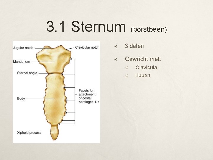 Anatomie Fysiologie Les 1 The body is a