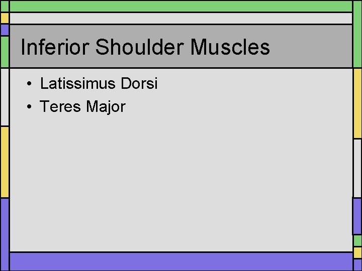Inferior Shoulder Muscles • Latissimus Dorsi • Teres Major Inferior Shoulder Muscles • Latissimus Dorsi • Teres Major