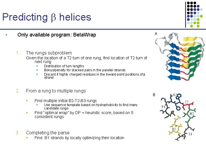 Predicting helices • Only available program: Beta. Wrap 1. The rungs subproblem Given the