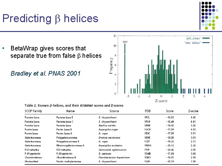 Predicting helices • Beta. Wrap gives scores that separate true from false helices Bradley