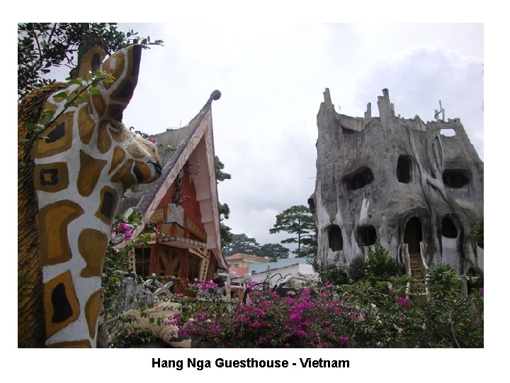 Hang Nga Guesthouse - Vietnam 