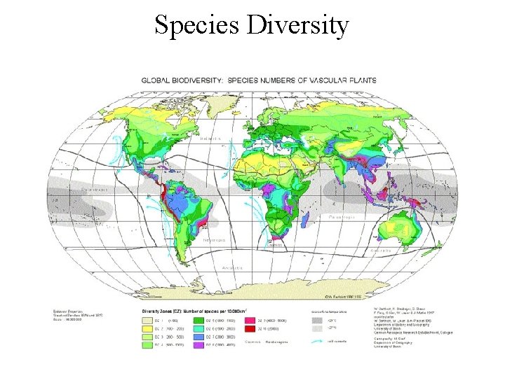 Species Diversity 