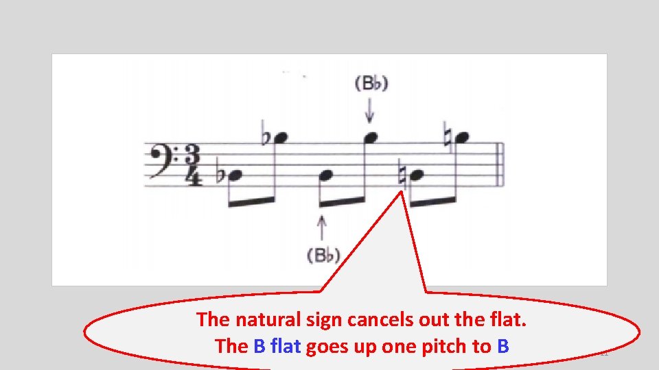 The natural sign cancels out the flat. The B flat goes up one pitch